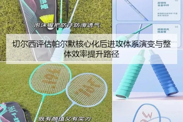 qie-er-xi-ping-gu-pa-er-mo-he-xin-hua-hou-jin-gong-ti-xi-yan-bian-yu-zheng-ti-xiao-lv-ti-sheng-lu-jing-3-675.jpg