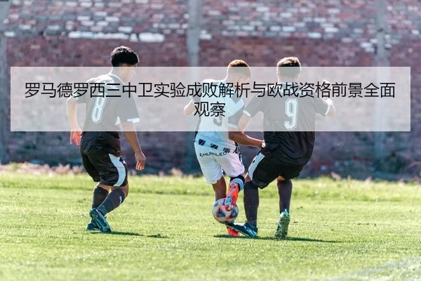 img_1783153929460_190_0_911.jpg
